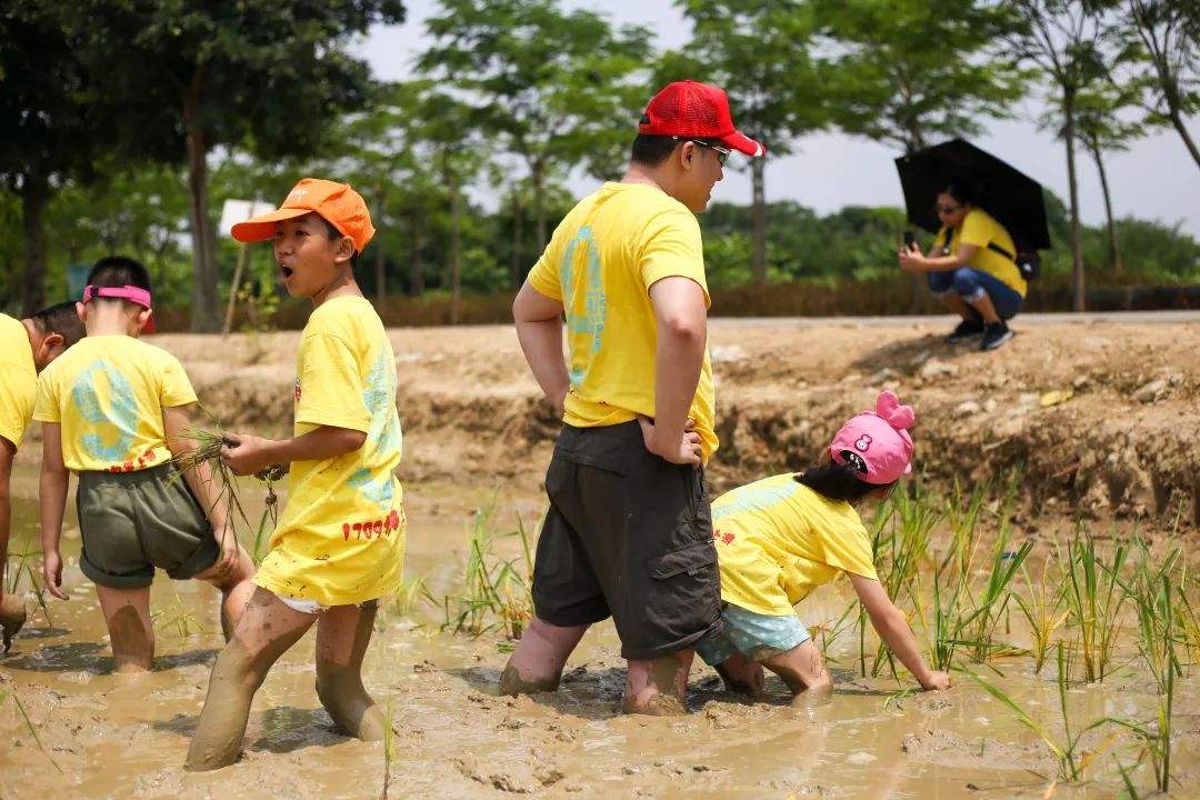 研学旅行如何与劳动教育相结合?